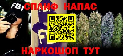 ECSTASY Майкоп