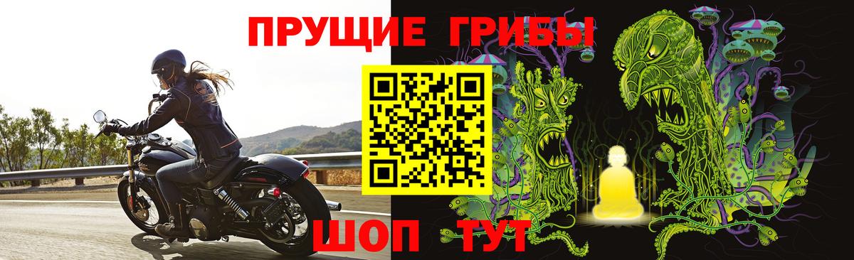Галлюциногенные грибы ЛСД  Вход с VPN  Кстово  где купить наркоту  Псилоцибиновые грибы Cubensis 